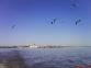 boat trip
